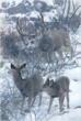 Joshua Spies Releases New Mule Deer Piece